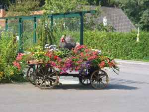 Urlaub am Bauerhof Kerölbauernhof Genusshof