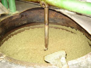 Kürbis, Blüte, Farmer-Rabensteiner, Kürbiskernöl, Erlebnis, Kernöl, Öl